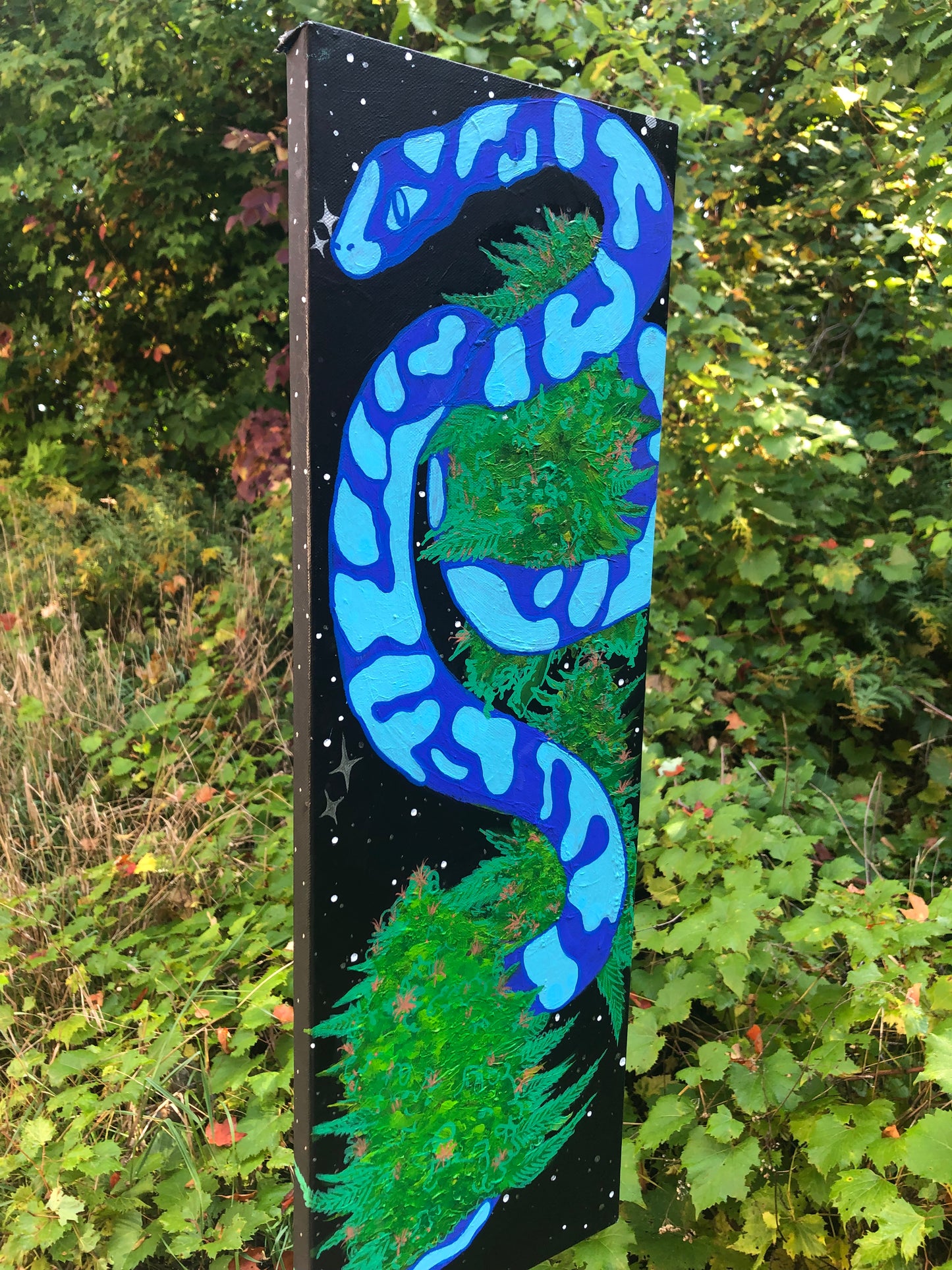 Snakes in the Grass